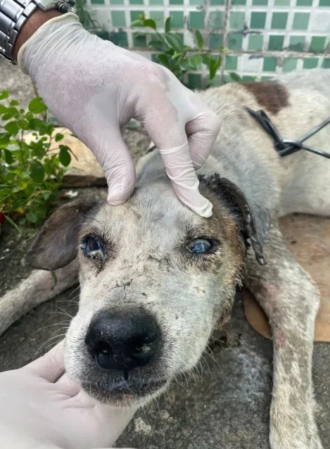Thor - precisando de ajuda